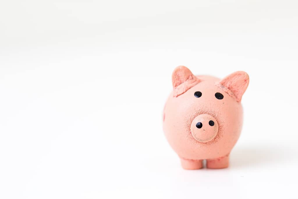 Set a budget